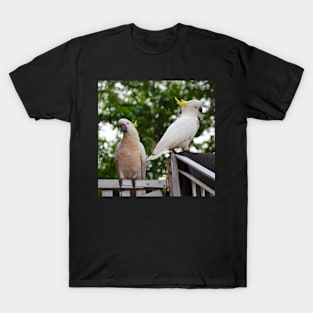 The Two Cockatoos! T-Shirt